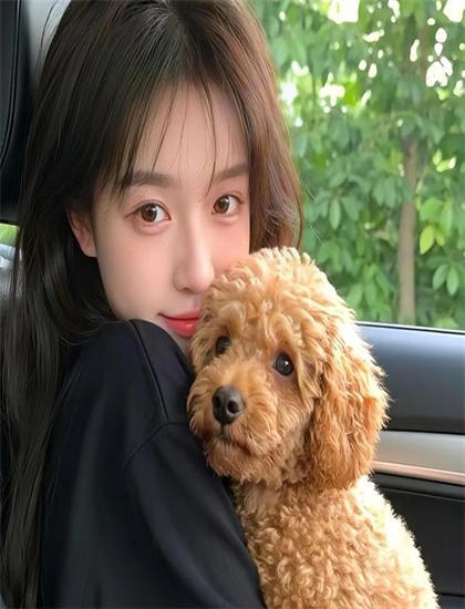 《十八盗之云中鹤》娱乐指数：观赏性与娱乐价值综合评价，点击破亿